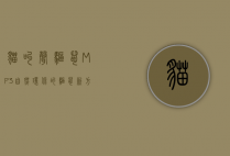 猫叫声驱鼠MP3，自然、环保的驱鼠新方法
