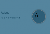 Adjunct,现代教育中的隐形支柱与挑战