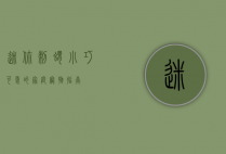 迷你刺猬，小巧可爱的家庭宠物指南