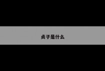贞子是什么