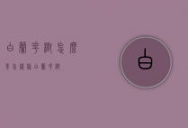 白兰花树怎么养（怎样种白兰花树）