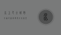 水上巴士，城市交通的新选择与未来展望