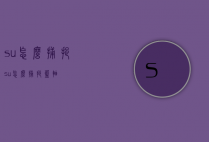su怎么捕捉（su怎么捕捉蓝轴）