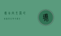 琥珀宫，失落的瑰宝与永恒的传奇