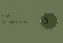 3U8811航班，一次难忘的飞行体验与航空安全的深度思考