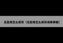 五色梅怎么修剪（五色梅怎么修剪成棒棒糖）