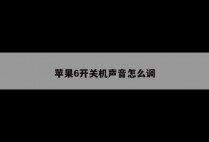苹果6开关机声音怎么调