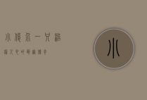 小俊介，一只治愈人心的萌宠传奇