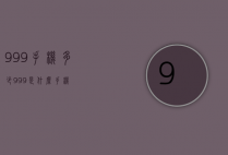 999手机多少（999是什么手机）