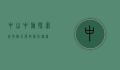 中山中旅，探索城市魅力，开启精彩旅程