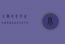 小猫的奇妙世界，从萌宠到家庭成员的蜕变