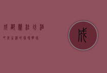 成都兰桂坊酒吧，夜生活的璀璨明珠