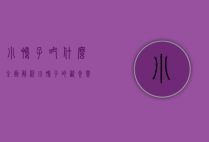 小鸭子吃什么？全面解析小鸭子的饮食需求与喂养技巧