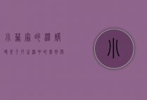 小葵家的温暖时光，平凡生活中的美好与感动