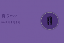关于essebtial是什么意思的信息
