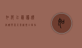 如何以最优价格购买慕尼黑机票，全面指南与实用技巧