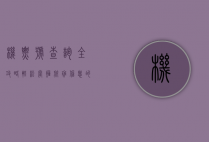 机票号查询全攻略，轻松掌握航班信息的秘诀