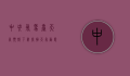 中央气象台天气预报下载，掌握天气动态，助力生活与决策