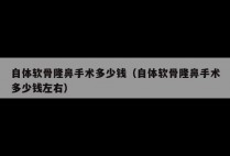 自体软骨隆鼻手术多少钱（自体软骨隆鼻手术多少钱左右）