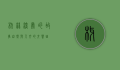 椰林深处的故事，自然与人文的交响曲