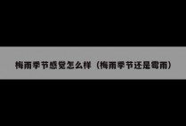 梅雨季节感觉怎么样（梅雨季节还是霉雨）