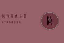 植物涝害怎么治了（植物涝死补救）
