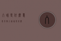 入珠是什么意思（男性入住珠是什么）