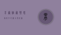 男宠难宠，情感博弈中的权力与依赖