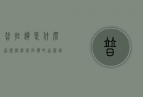 普拉达是什么品牌定位（普拉达的品牌定位）