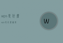 wps是什么（wps是什么饮料）