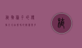 植物种子的传播方式，自然界的智慧与多样性