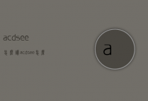 acdsee怎么读（acdsee怎么读音）