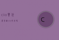 clio买什么年龄（clio好用吗）