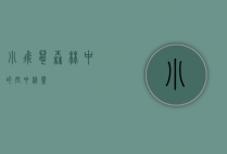 小飞鼠，森林中的空中精灵