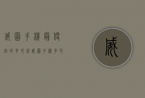 威图手机最便宜的多少钱（威图手机多少钱一部）