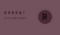 植物传播种子的奇妙方法，从风到动物，自然界的智慧