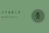天竺葵图片，美丽与实用的完美结合
