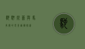 驰骋银幕，与马有关的电影艺术探析
