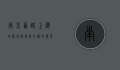 南京西路，上海的历史与现代交织的繁华之脉