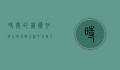 时间的艺术，如何在快节奏生活中找到平衡与意义