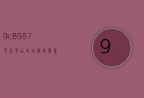 9c8987，色彩背后的故事与意义