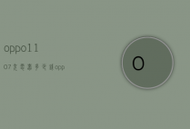 oppo1107充电器多少钱（oppo110w充电器）