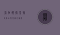灰姑娘摄影，捕捉梦幻与现实的瞬间