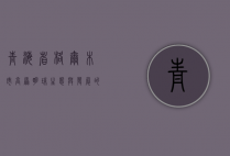 青海省格尔木市，高原明珠，生态与发展的交响曲
