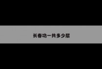 长春功一共多少层