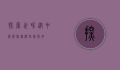探索世界，从中国国旅旅游官网开始