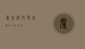 魔锐，科技与创新的未来之光