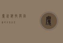 魔锐，科技与创新的未来之光