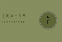 上海迪士尼项目，梦想与现实的交汇点