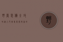 野营装备全攻略，从入门到专业，开启你的户外生存艺术